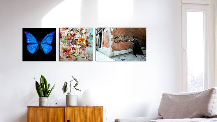 Three mini artworks on a wall from left to right; butterfly, floral tableau and a Banksy-style street art work