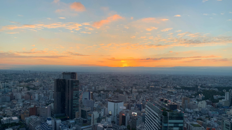 Cerulean Tower Tokyu Hotel