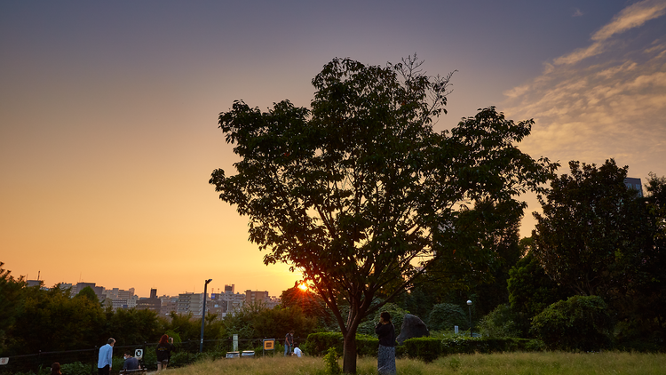 Saigoyama Park, Daikanyama