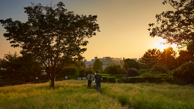 Saigoyama Park sunset