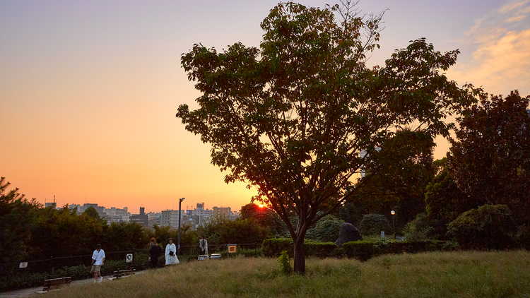 Saigoyama Park sunset