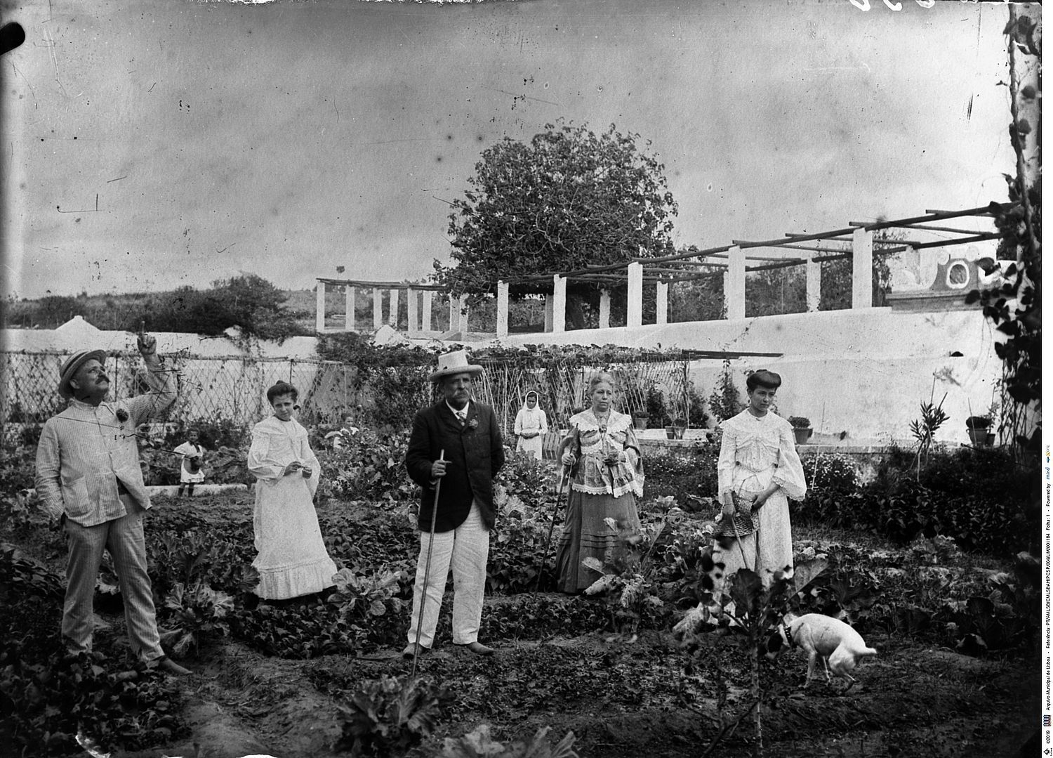 Hortas de Lisboa