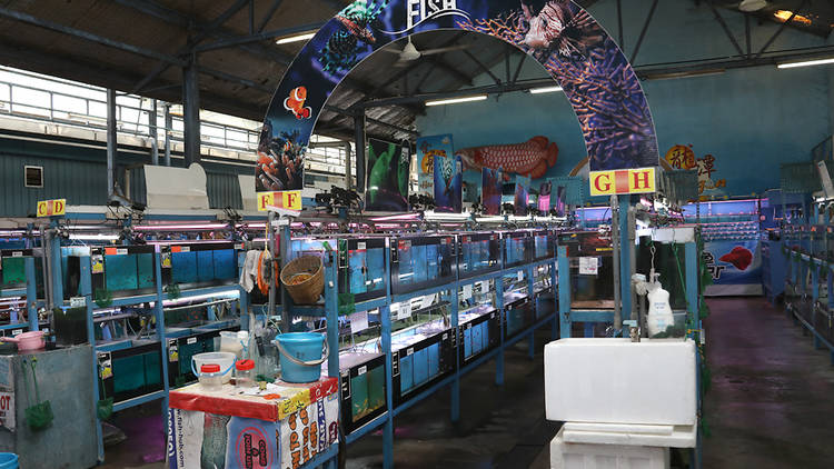 Yi Hu Fish Farm Trading