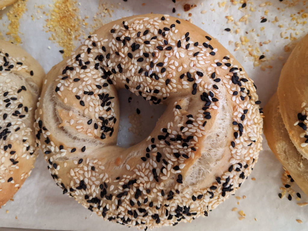 Best Bagels in Boston 11 Destinations for PicturePerfect Bagels