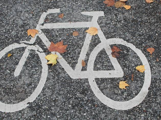 Ciclovia Bicicleta Ciclovia