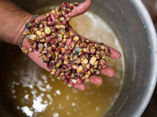 Comida como sistema alimentario Milpa como sistema productivo