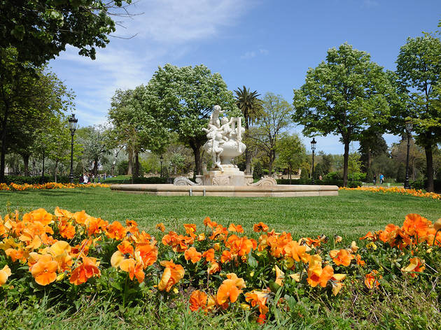Flors al Parc de la Ciutadella Parc de la Ciutadella