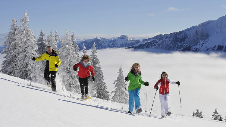 A family skiing together.
