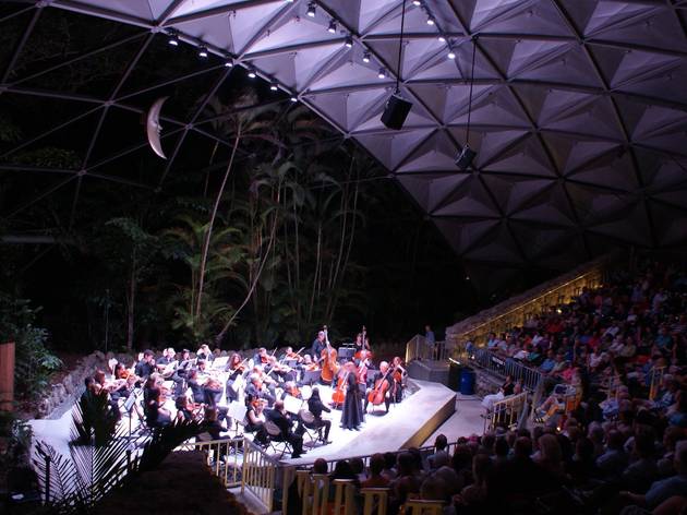 Beethoven for Miami Festival 2020 Beethoven for Miami Festival 2020