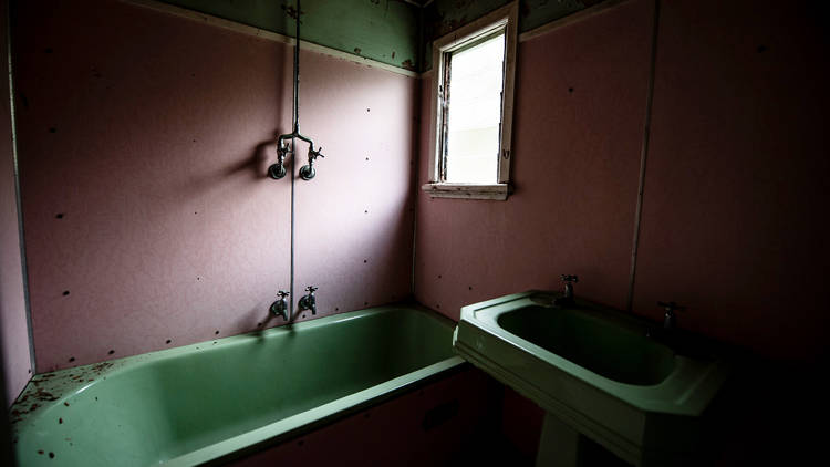 An Australian famous for documenting toilets has come to Montreal