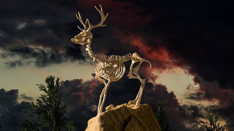 A skeletal der stands on a rocky outcrop in front of a dramatic, red-hued sky