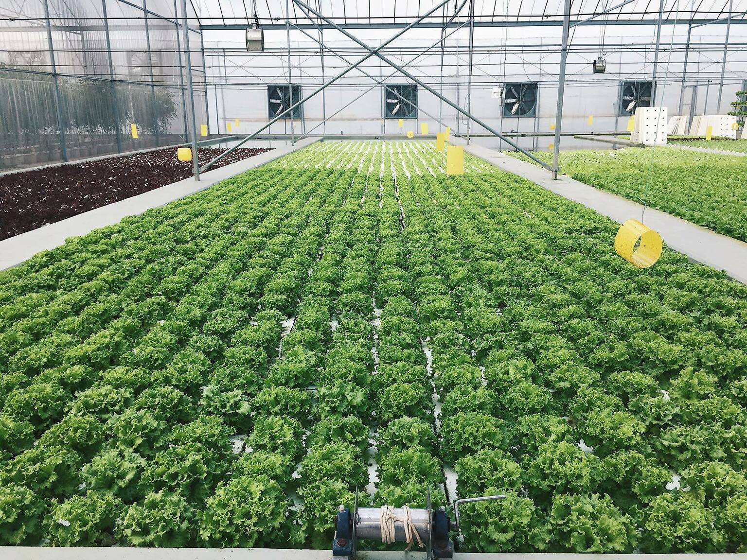 10 Best Farms in Singapore To Visit