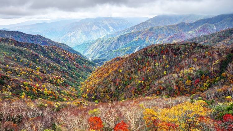 Nikko National Park