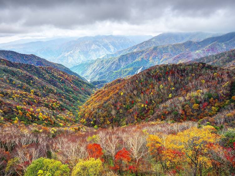 Nikko National Park