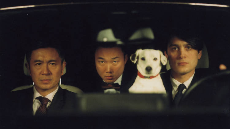 Boi, Spanish Film Festival