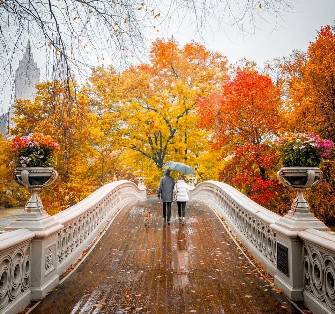 fall foliage weekend trips from nyc