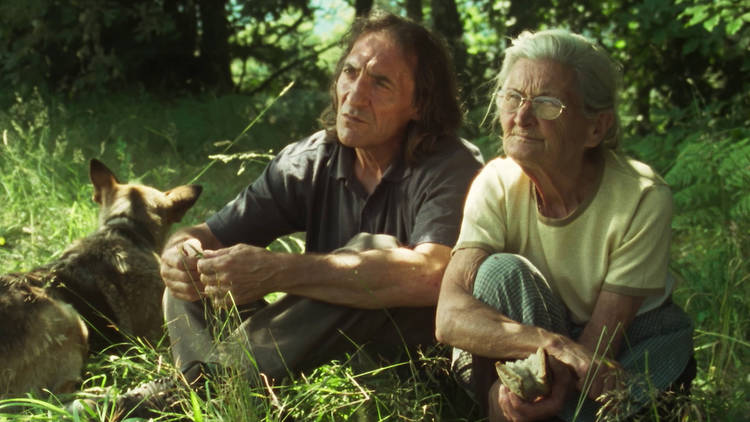 Spanish Film Festival