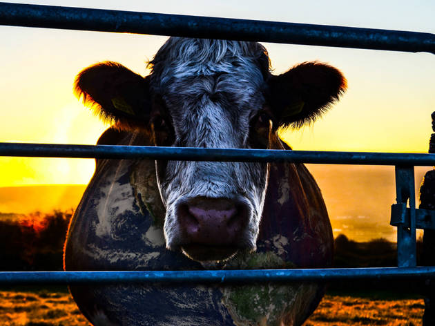 Cowspiracy Cowspiracy, documental sobre la carne en Netflix
