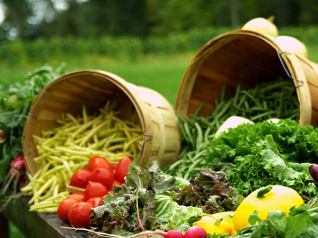 Eating You Alive Eating You Alive, documental sobre el veganismo