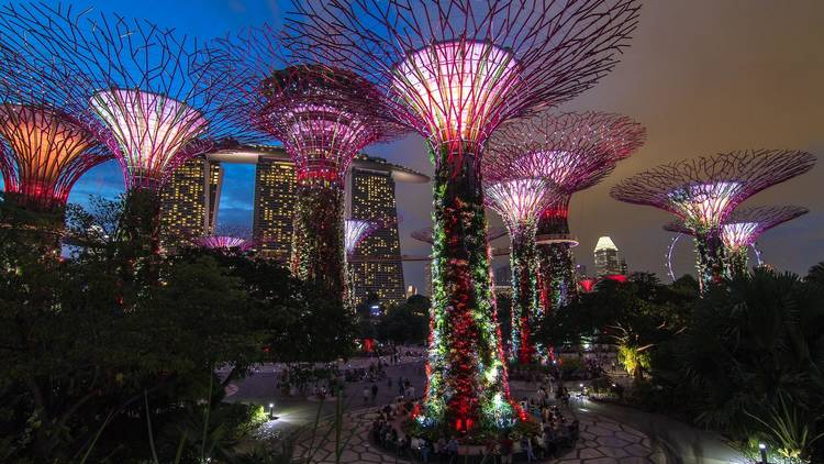 Explore Gardens by the Bay