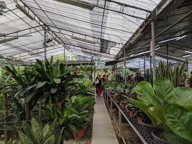 BLG Nursery BLG Nursery