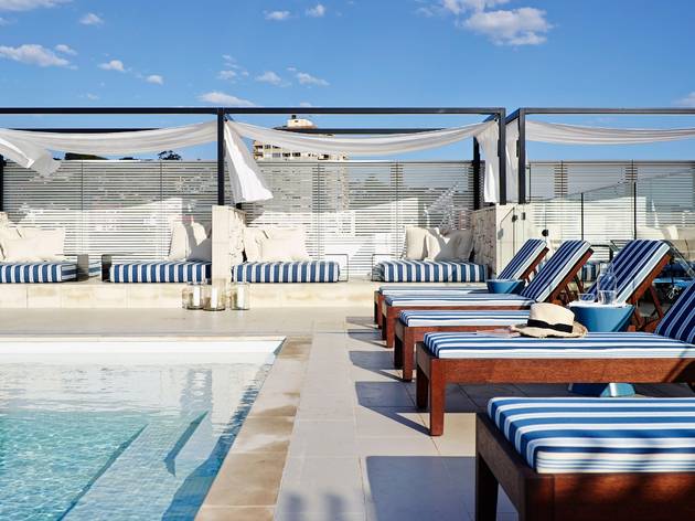Rooftop pool with loungers next to it