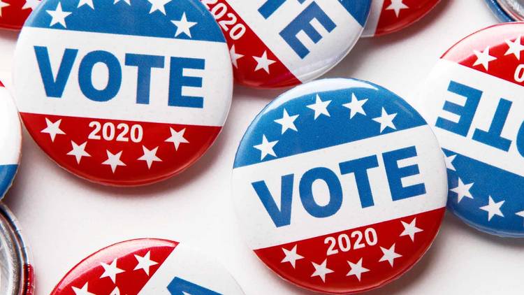 Vote, button, pin, election, 2020, voting