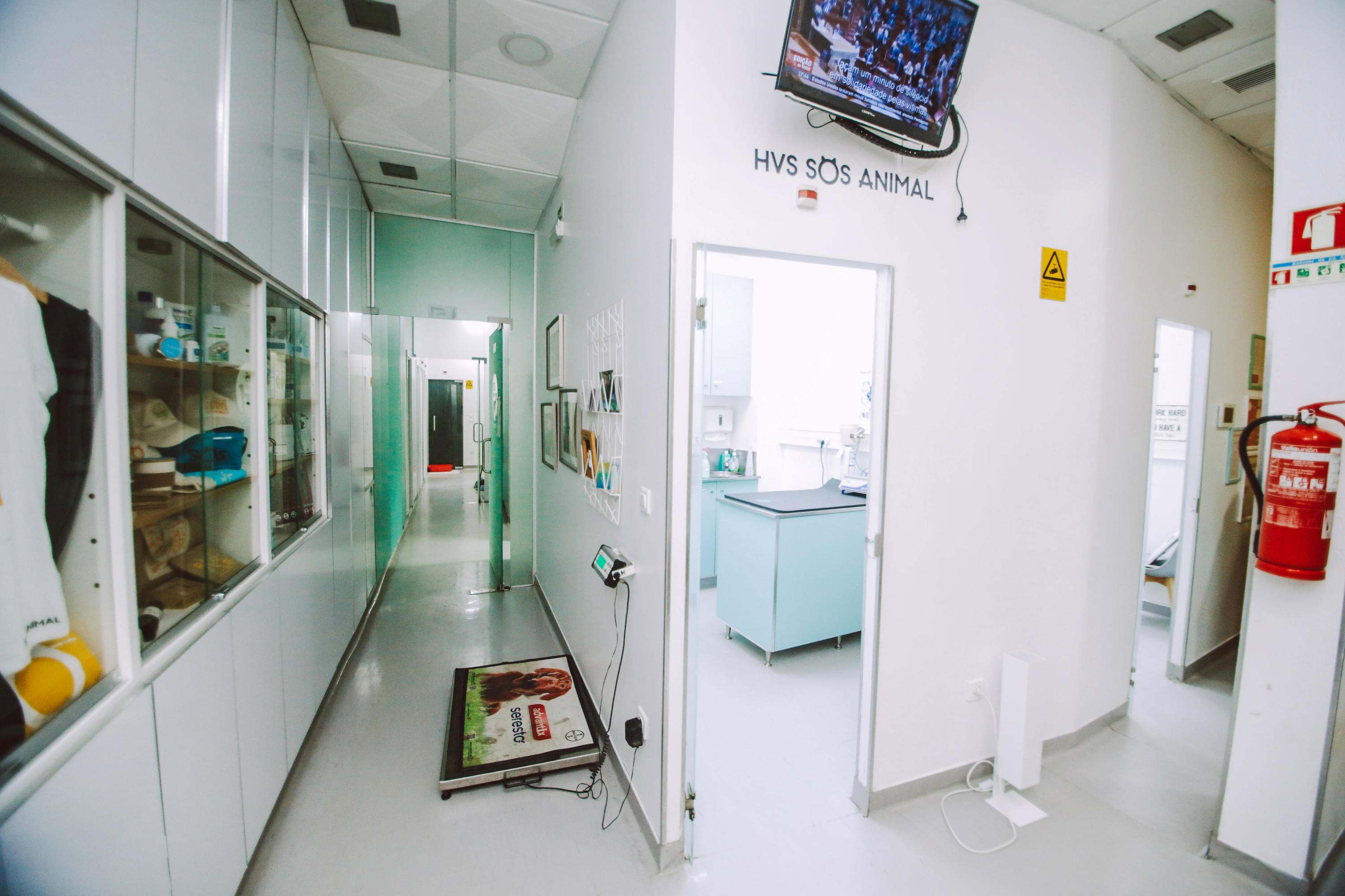 Hospital da SOS Animal