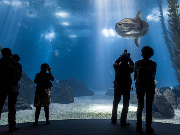 Oceanário de Lisboa Oceanário de Lisboa