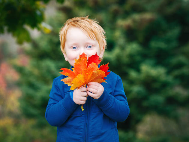 The best fall activities for kids in NYC The best fall activities for kids in NYC
