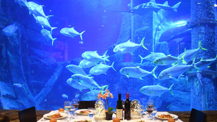 Melbourne Aquarium dining package