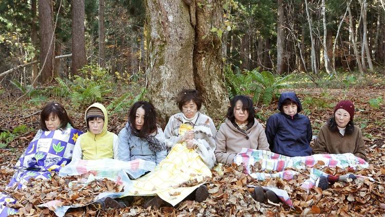 Seven Japanese women sitting under a tree