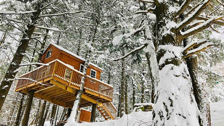 Treehouse, Home and Spa Trio in West Brome, Québec