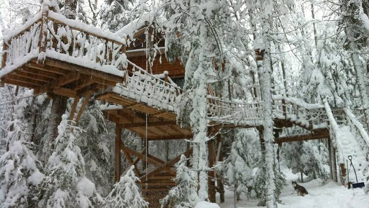 Perched Chalet Treehouse in Nominingue, Québec