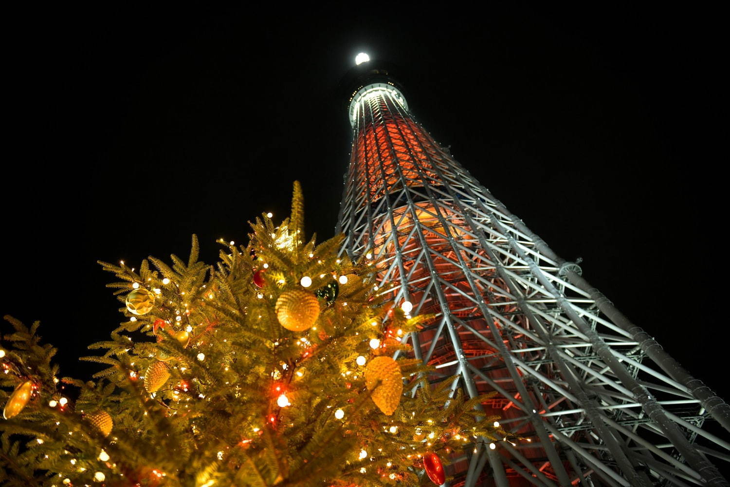 Tokyo Skytree Town Dream Christmas Things to do in Tokyo