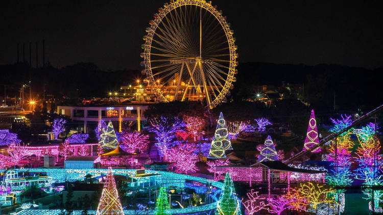 17 incredible illuminations and light displays in Tokyo