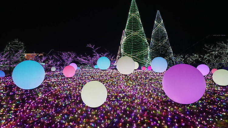 Yomiuri Land Jewellumination