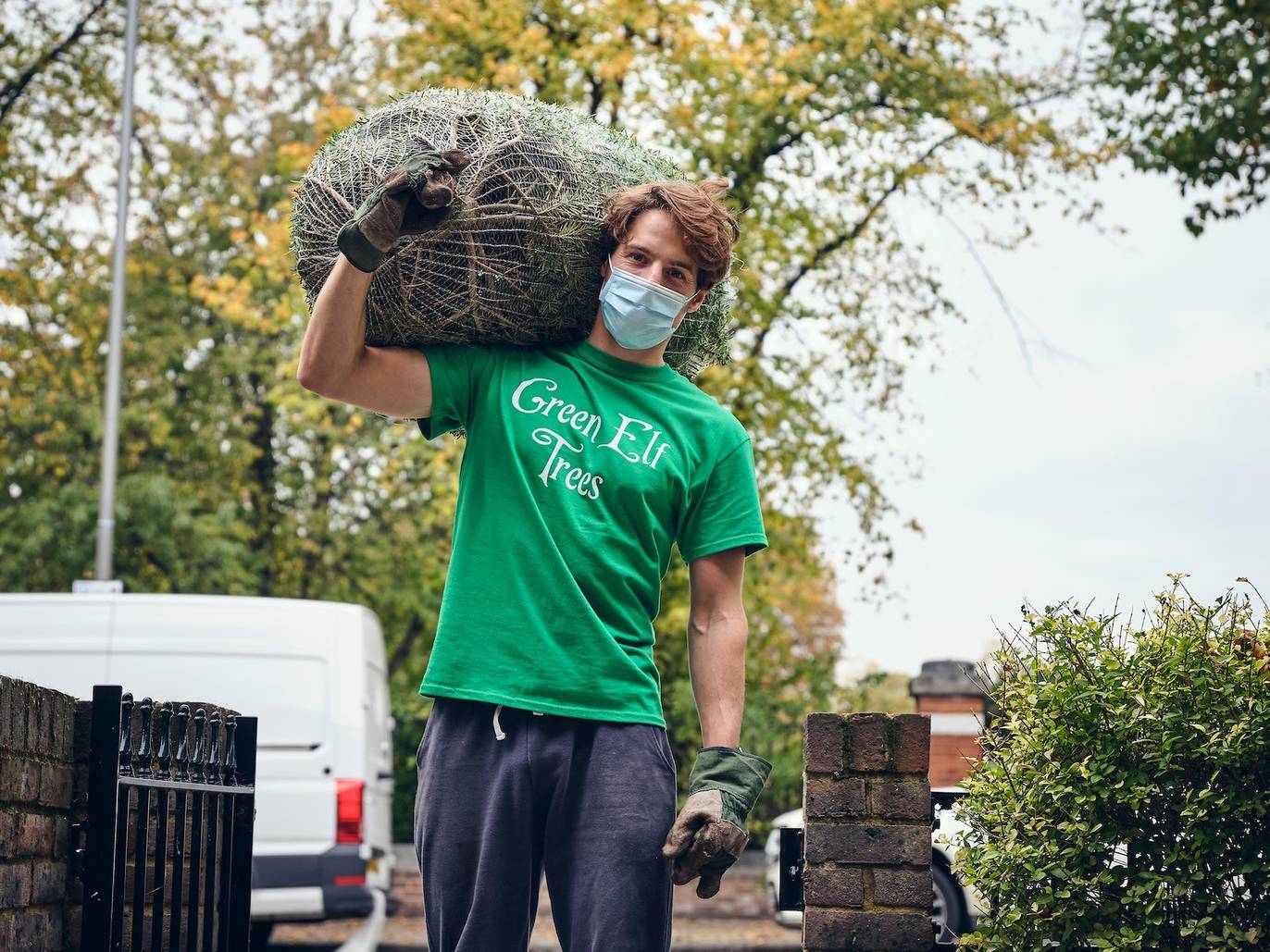 Where to buy Christmas trees in London collection and delivery