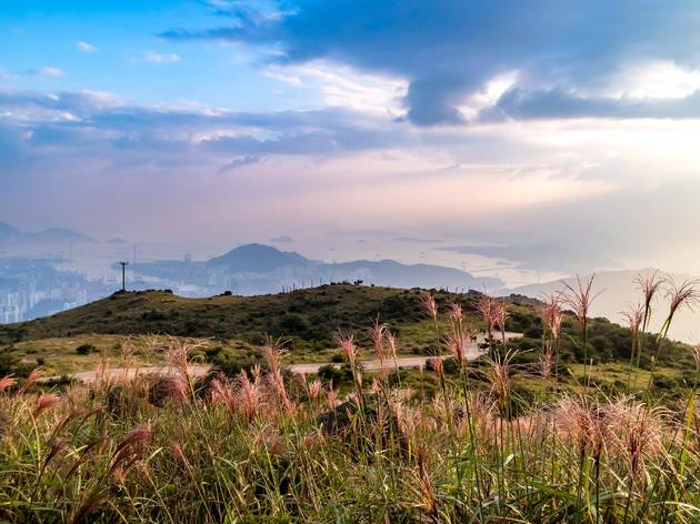 Tai Mo Shan Tai Mo Shan