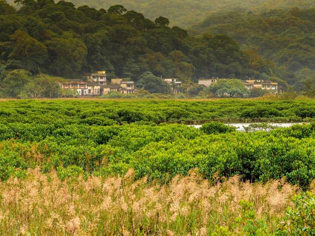 (Kuk Po), Plover Cove Country Park (Kuk Po), Plover Cove Country Park