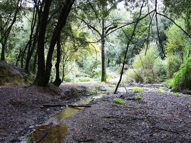 Parc Natural de Collserola Parc Natural de Collserola