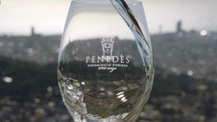 DO Penedès, vins, Nadal 2020