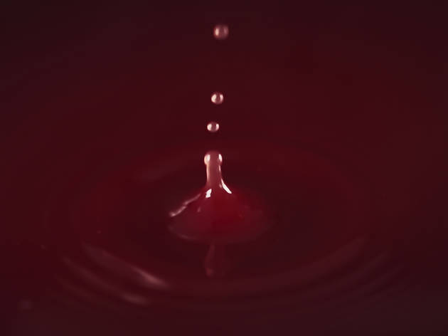 DO Penedès, vins, Nadal 2020