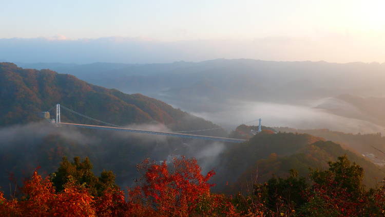 Autumn leaves Ibaraki prefecture