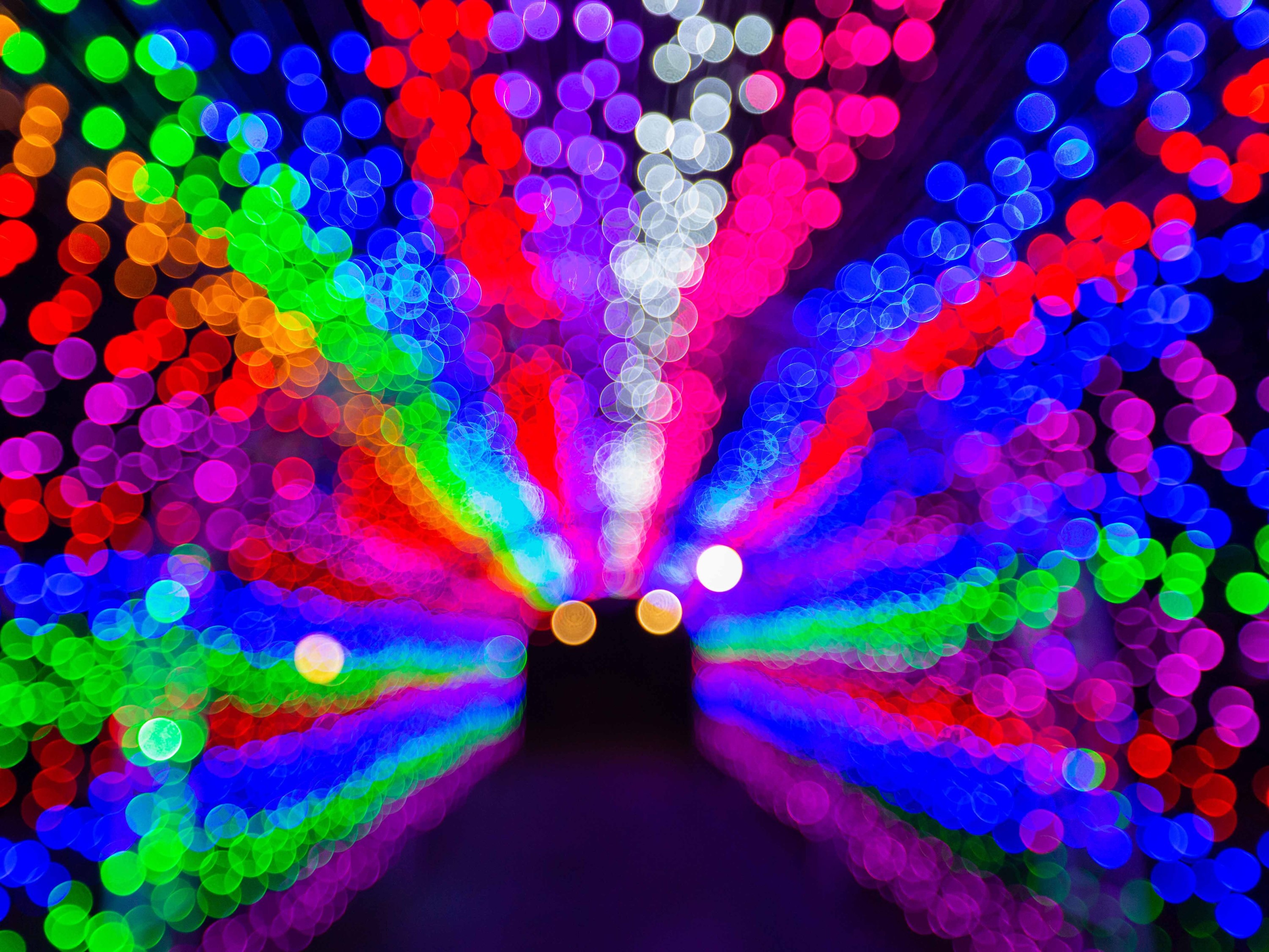 8 Festive DriveThru Christmas Lights To See This Year