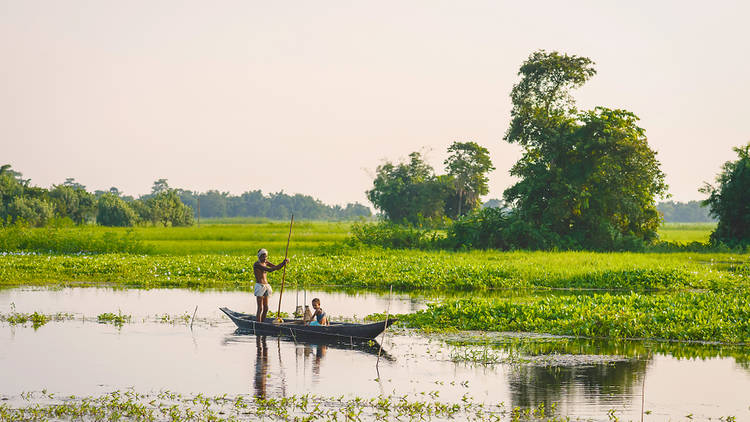 Majuli