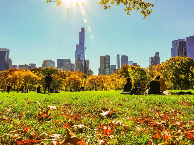 Time Out #37, November 12, 2020