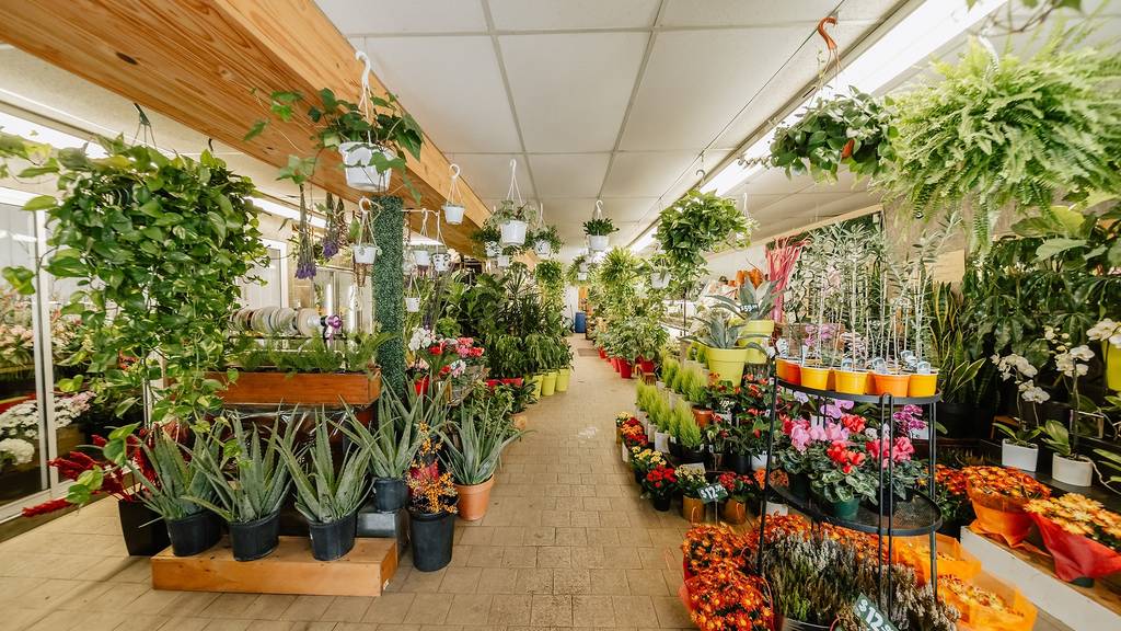 17 Best Florists With Flower Delivery in Montreal