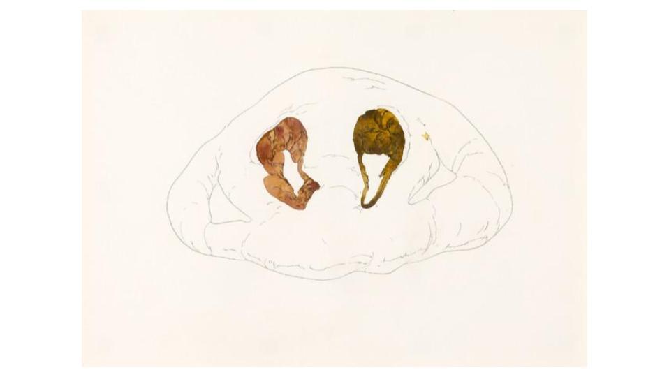川内理香子 初画集刊行記念個展 drawings