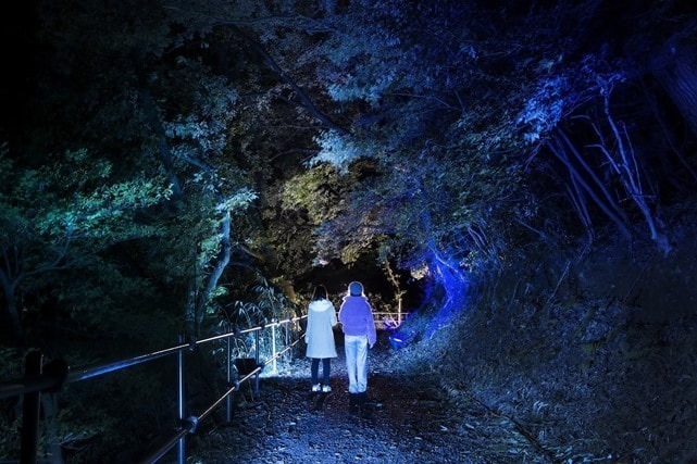 Moominvalley Park Adventure Walk